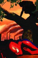 AMAZING SPIDER-MAN #634 GRIM