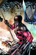 BRUCE WAYNE THE ROAD HOME RED ROBIN #1