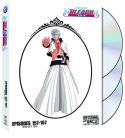 BLEACH UNCUT DVD VOL 10