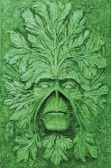 ABSOLUTE SWAMP THING BY ALAN MOORE HC VOL 01 (RES)