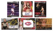 TOPPS 2019 WWE NXT T/C BOX